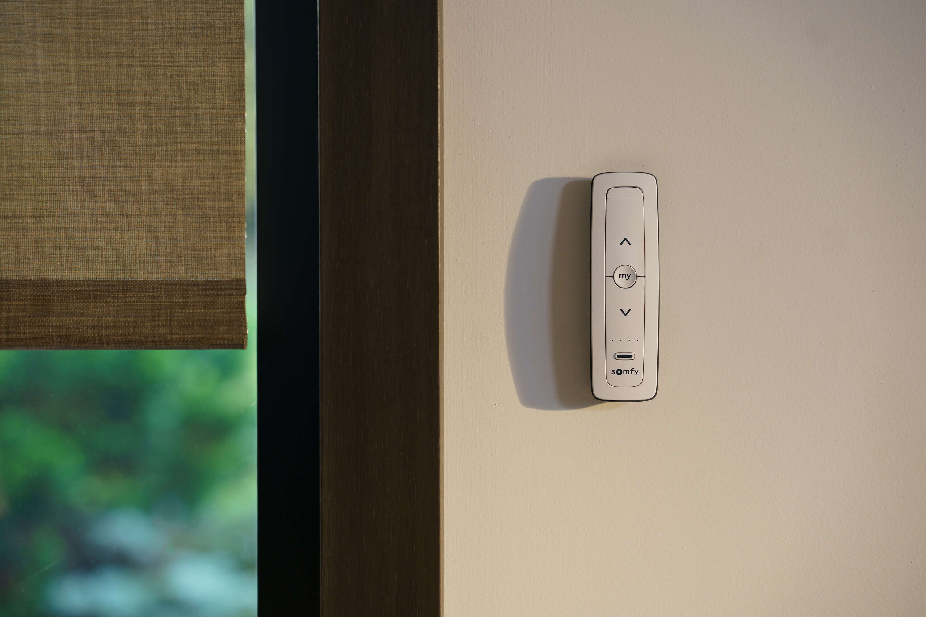 Somfy til professionelle